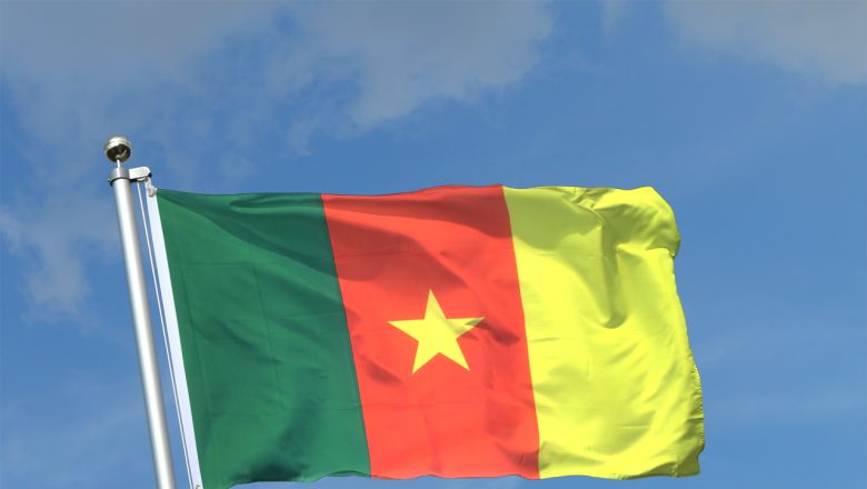 Respecter le drapeau du Cameroun